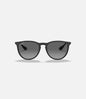 Ray Ban ERIKA RB4171 Polarized